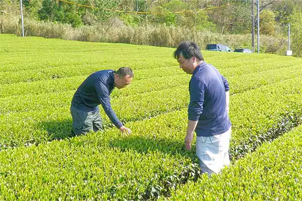 農業に関するあらゆる相談に応じています：農業コンサルタント